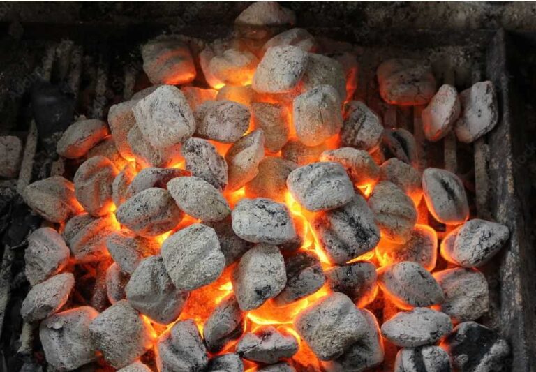 Best Coconut Shell Charcoal Exports burned image