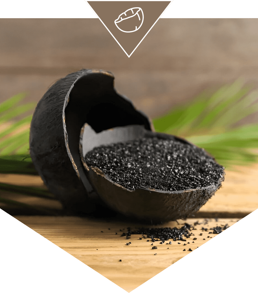 Cocount shell charcoal image